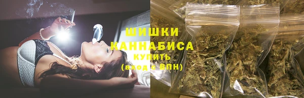 винт Лагань