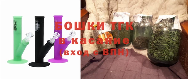 винт Лагань