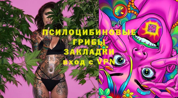дживик Куйбышев