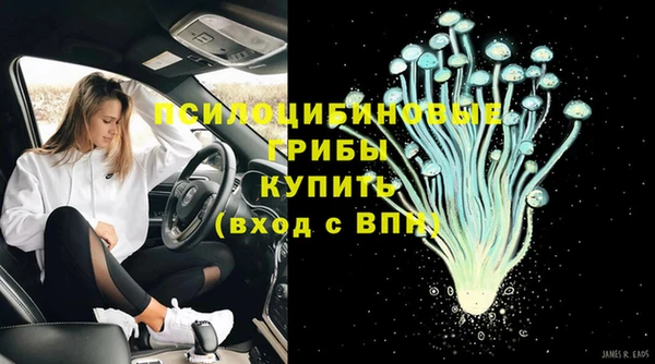 винт Лагань