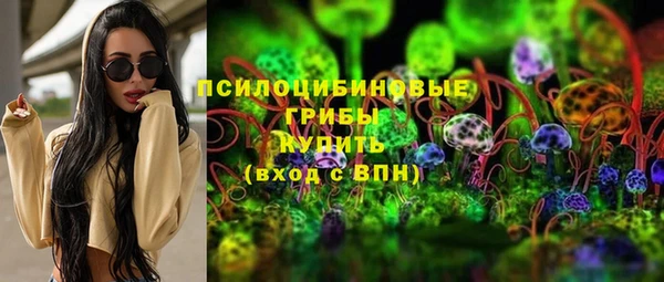 сатива Ладушкин