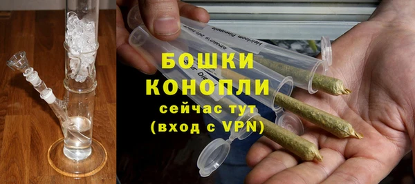 сатива Ладушкин